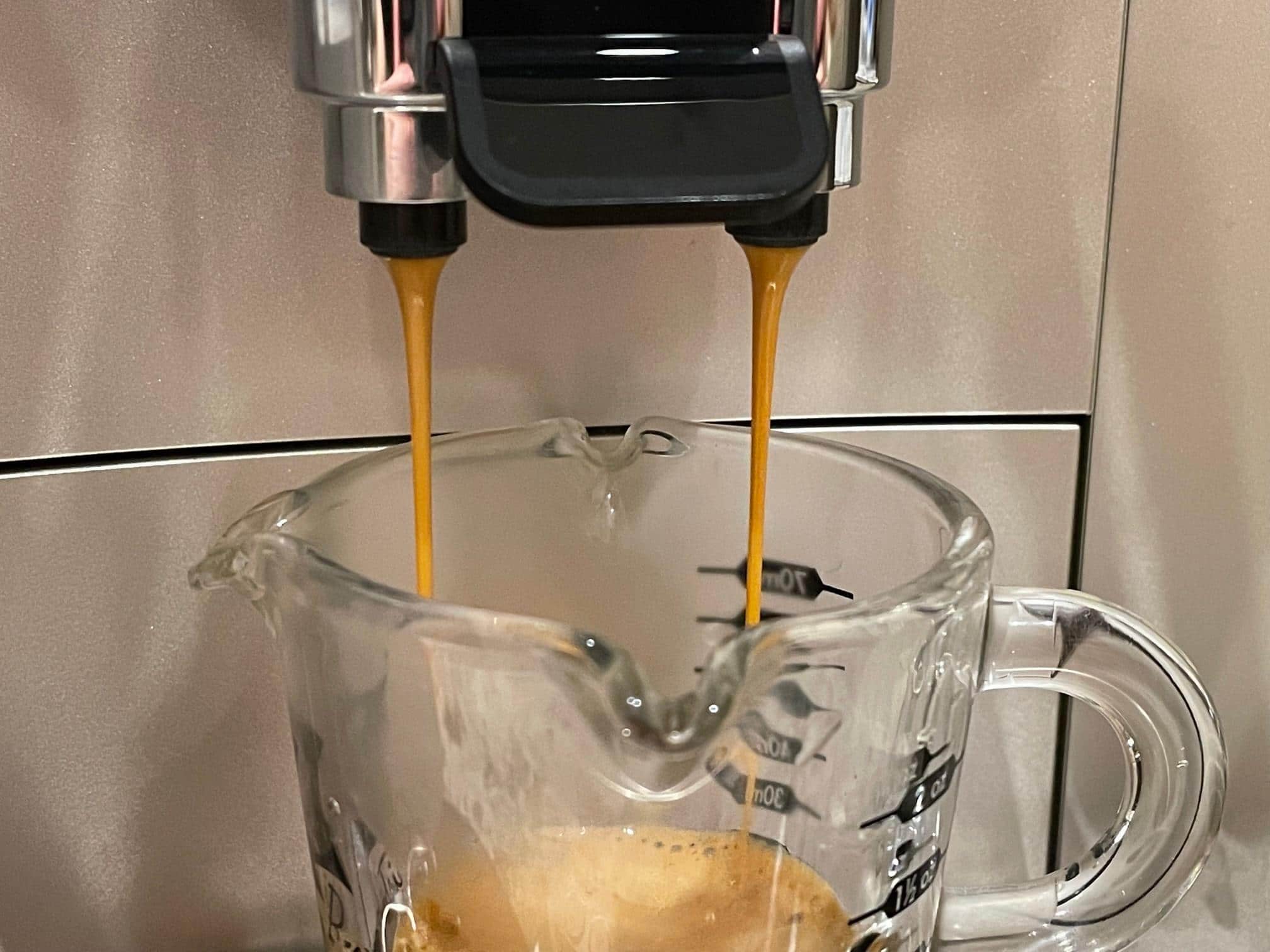 De'Longhi - Magnifica Evo Espresso Machine with Automatic Milk Frother for Hot and Iced Lattes, Coffee and More - Silver